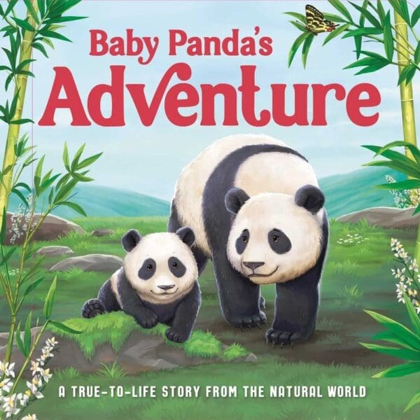 Baby Panda S Adventure - Image 1