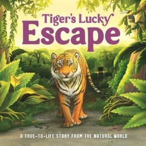 TIGER S LUCKY ESCAPE